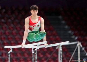 bogyo daniel tamas hun sfe04166 copia simone ferraro ph